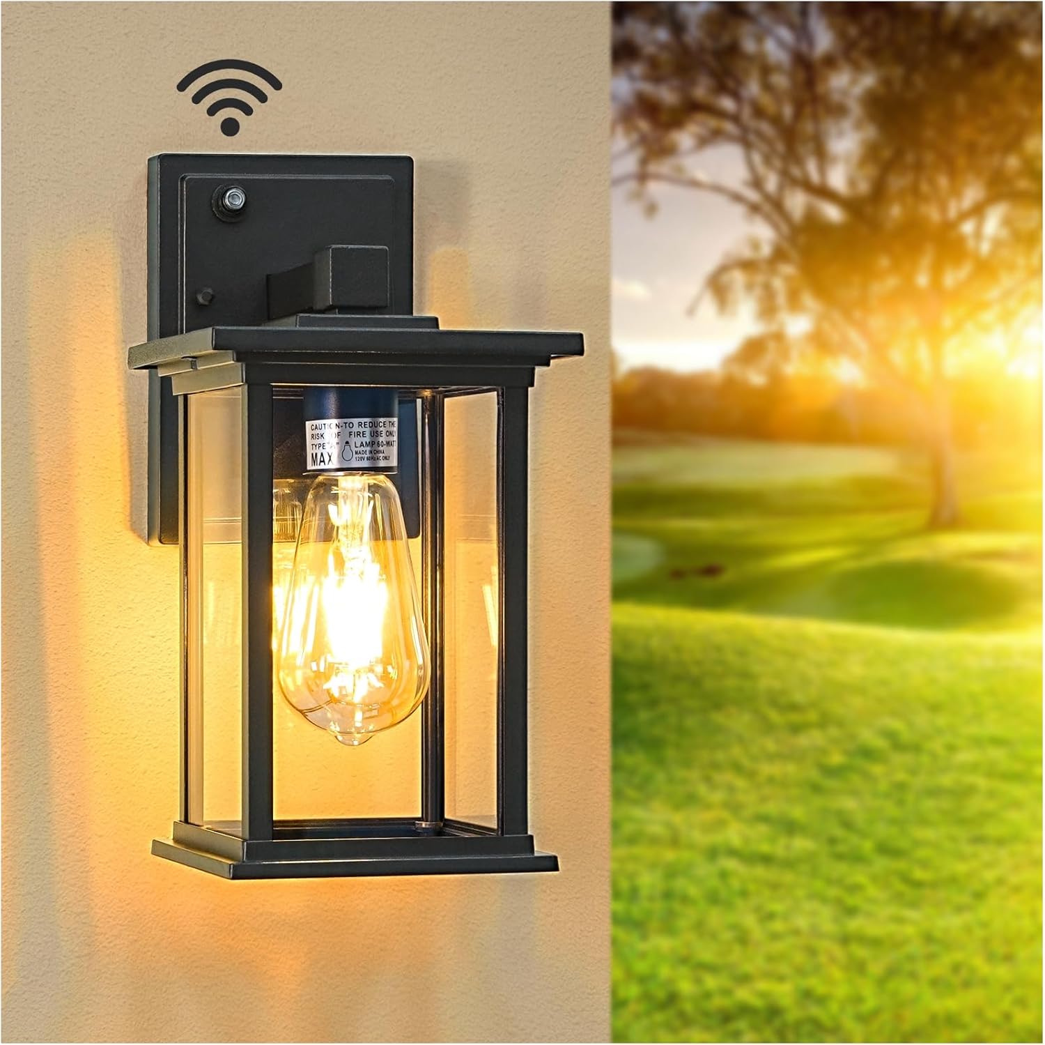 Dusk to Dawn Black Outdoor Wall Sconce Light