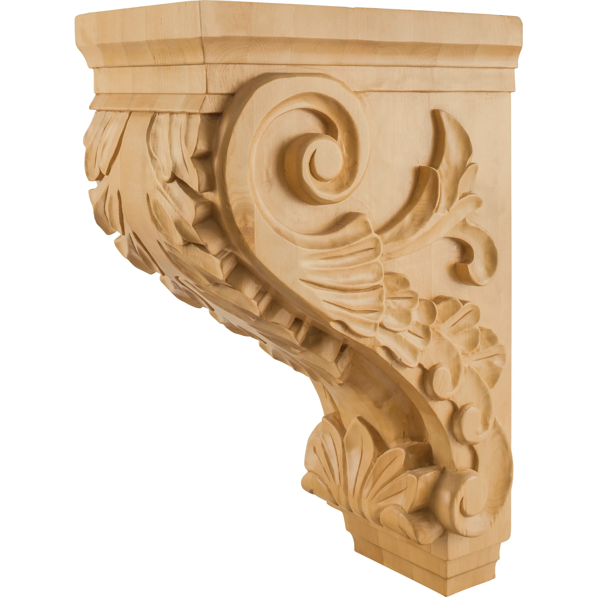 Hardware Resources Acanthus Corbel White Birch 24″ Length 9-1/2″ Width