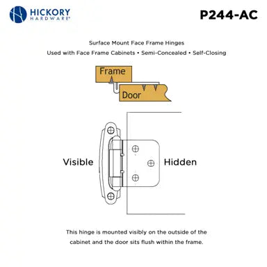 Hickory Hardware Surface Mount Self-Closing Hinge 2-5/8" x 1-15/16"