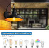 Black wall-mounted light fixture with a glowing bulb, set against a blurred indoor background.