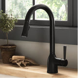 Moen Adler Matte Black Single Handle Pull Down Kitchen Faucet with Sprayer