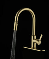 Gold kitchen faucet with black hose on a black background