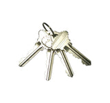 4 schlage keys