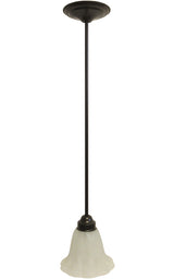 A single light pendant with a dark oil rubbed bronze finish