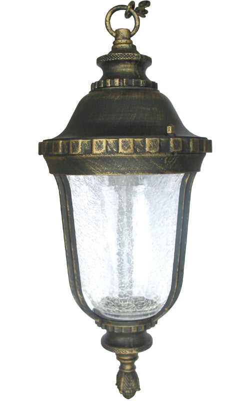 Golden Black Ceiling Outdoor Lighting Fixture 